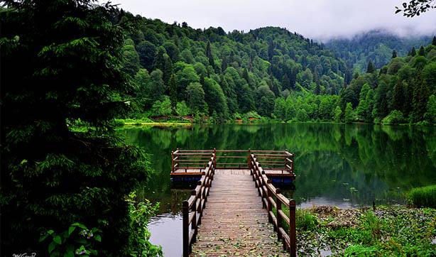 7.Waldeinsamkeit, Almancada &#8216;Doayla ba baa kalma&#8217; anlamn tayan bir kelimedir.