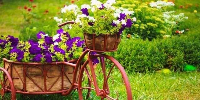 Byk kabn iine, saksnn zerini 2 parmak geecek biimde suyla doldurun. Saksnz kabn iinde hava kabarc kmayana kadar bekletin. Bitkilerinizin tozlanan yapraklarn nemli bir sngerle silin.