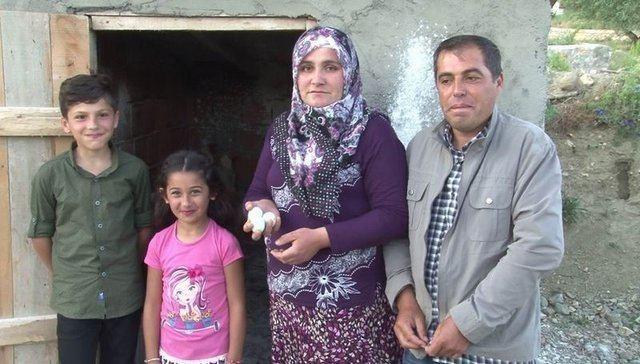 Sivas'n Glova ilesine bal Karayakup kynde yaayan Nurhan Doan, ald iki tavuun yeil yumurta vermeye balamasnn ardndan balad ite imdi taleplere yetiemiyor.