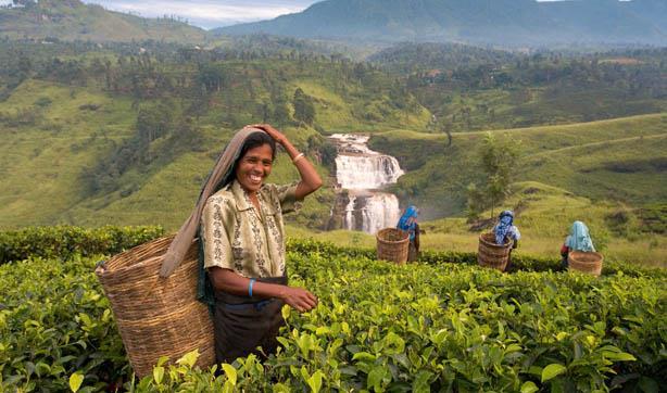 4. Sri Lanka  <p>    Asya'nn ada lkesi Sri Lanka inanl insanlarn orann en yksek olduu bir dier yer. lkedeki en byk dini grubu Budistler oluturuyor.