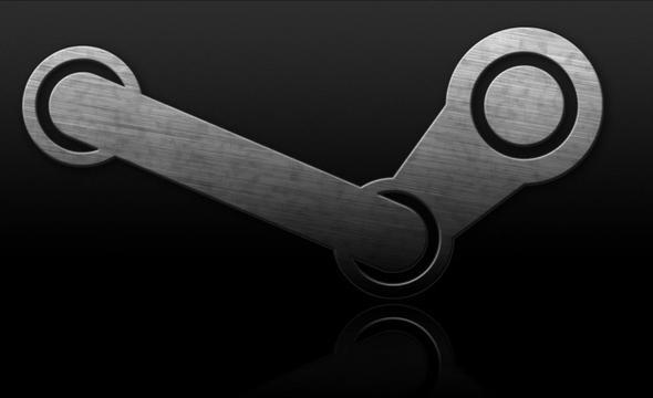 nk bu durumda hesap sahibinin ldn syleyerek Steam'in hesab kilitlemesini salam oluyorsunuz