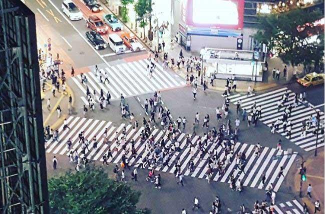 4. Yaya yolu ilesi<p>Kavaklarda yolun karsna deil de aprazna gemek istediinizde vakit kayb yaamamanz iin Japonya'da yolu diyagonal kesen yaya geitleri dnlm.