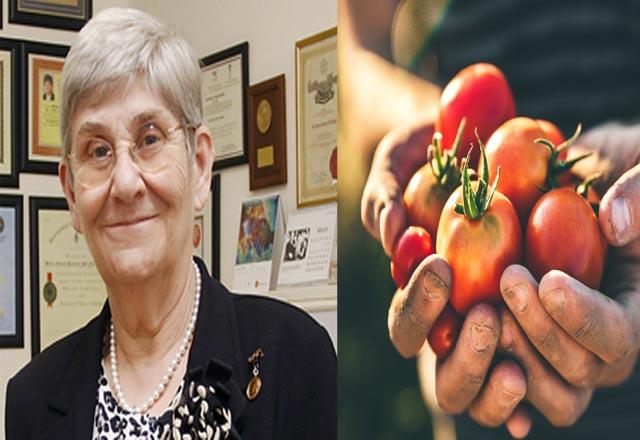 Prof Dr. Canan Karatay uan mevsimi olan domateslerle alakal arpc aklamalarda bulundu.