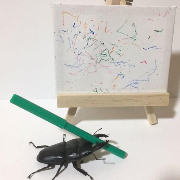 Spike'n kskalar arasna tkenmez kalem veya resim fras yerletiren sahibi Mandy Bryant, Spike'n "tatl ve merakl" bir bcek olduunu belirterek, "O ok zel. Kk bir bcek iin birok karakteri var" dedi.    Fotoraflar sosyal medya zerinden hzla yaylan Spike'n hrete kavutuunu syleyen Bryant, o sreci "Arkadalarma gstermek iin Spike'n sama fotoraflarn ekiyordum. Ona verdiim keeli kalemi kadn zerinde ylesine sallaynn komik olduunu dnerek fotorafladm. Bu fotoraflar sosyal medyaya ykleyince tm gece her yere yayld" ifadeleriyle anlatt.