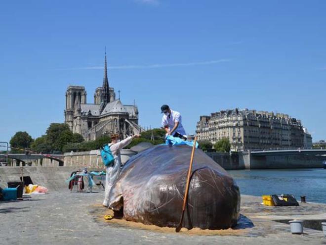 <strong>3. Sen Nehri kysna vuran balina</strong>  Fransa'nn bakenti Paris'in iinden geen Sen Nehri kysnda 17 metre uzunluunda bir balina heykeli yapld.<p>    Heykel o kadar gereki yapld ki ok sayda Parisli bunun gerek bir balina olduunu sand.<p>    Kyya vuran l balina figrnn etrafnda alan bilim insanlar da aslnda kresel snmaya dikkat ekme projesinin bir paras.    Birka gn Paris'te sergilenen proje nmzdeki haftalarda baka ehirlere de tanacak.
