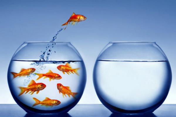 erii, anlam, uygulamas ve siyasal iletiim ile ba balamnda sosyal medyann dnya leindeki farkndalk durumundan ayr (umursamaz) biimde pratie dkld (sadece "mevcudiyet" iin bulunulduu izlenimi verilerek, aralkl; dzensiz; kurumsal temal iletilerin paylalmas),