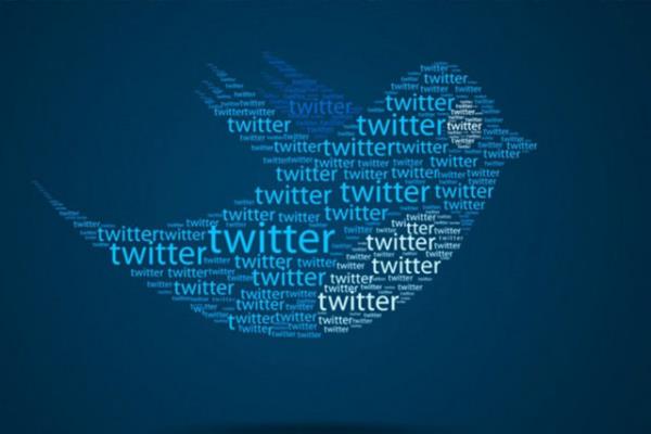 Twitter mecrasn aktif kullanmak ya da kullanm eklini avantaja dntrmek adna -zellikle Recep Tayyip Erdoan'n ve BDP'nin Twitter hesaplarnda- "paral" ileyiin; ileti paylamnn uygulanmas, bu balamda 140 karakter yerine devam edegelen konumalarn bir btnm gibi biribirini izler ekilde yaynlanmas,