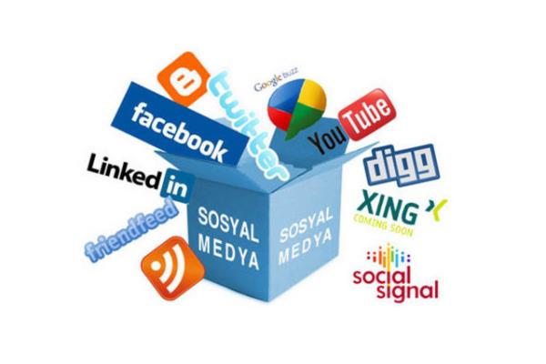 Kiisel kullanmdan ziyade kurumsal dilin, parti kimliinin vurguland (zellikle -parti tekilat tarafndan yrtlen- AKP Genel Bakan Facebook ve Twitter hesaplar ve BDP nternet sayfasndaki sosyal medya linklerinde),