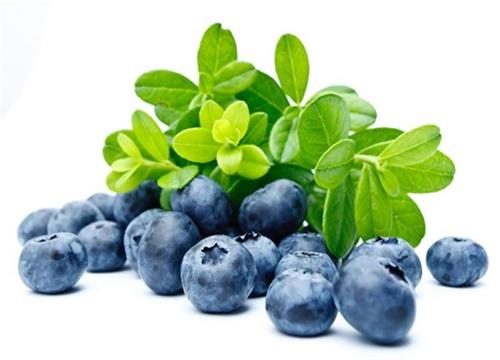 Akam yatmadan nce ise yine 2 bardak yabanmersini suyu tketip yle uyuyun.