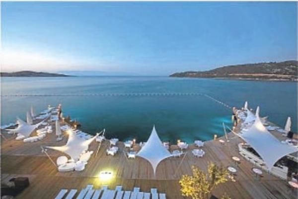 <b>11-Elence </b>  <p>2012:Yzde 15.0 </p>  2013: Yzde 6.7