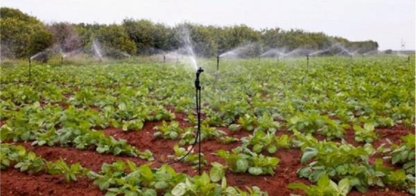 <b>18-Gbre-Tarm lalar</b>   <p>2012:Yzde 6.8 </p>  2013: Yzde 3.8