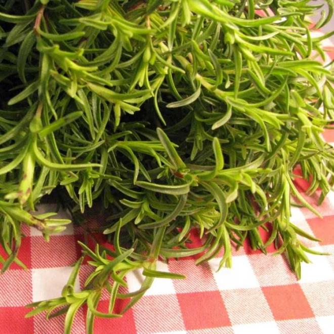 Mesane arsn dindirir.