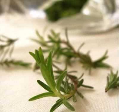 Peki zahterin faydalar nelerdir?