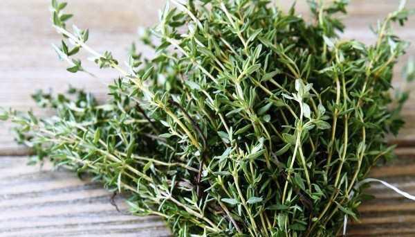 ksr hafifleterek durdurmaya yardmc olur.