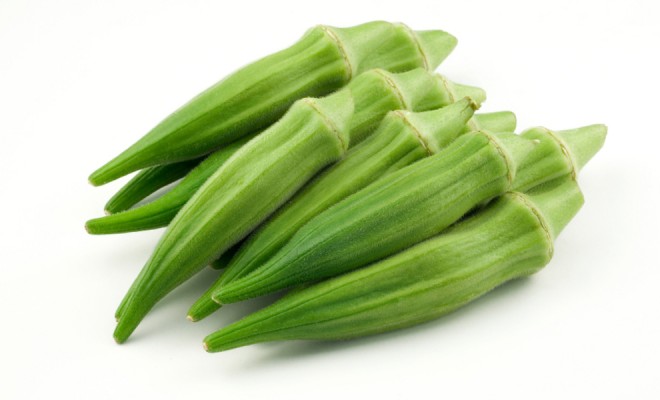 Bamyann lif ierii pek ok yararl niteliklere sahip olmasn salar zellikle mide barsak saln korumaya yardmc olur. Bamya suyu emmeye yardmc olur ve ar kolesterol, metabolik toksinler ve ar safray yakalayp dk yoluyla dar atar. eriindeki byk su yzdesi kabzlk, gaz, ikinlik ve mide problemlerini nler.Bamya kilo vermek isteyenler iin ok uygun bir sebzedir.