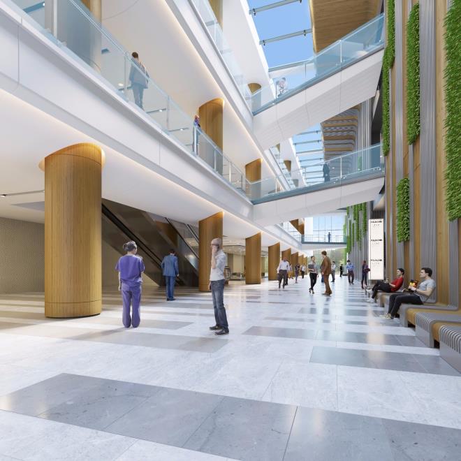 Tbbi hizmet yine devlet tarafndan verilirken, tm doktor ve hemire kadrosu da devlet tarafndan salanyor. Dnyadaki rnekleri 15 yldan 30 yla kadar uzanan bu ibirlii modelinde, Trkiye'deki projeler iin ise sre 25 yl olarak belirlendi.