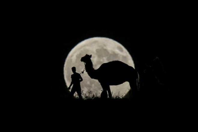 Ay tutulmasn izlemek isteyen vatandalar da sahil kenarlarna akn etti. Burada ay tutulmasn izleyen vatandalar hatra fotoraflar ekildi.