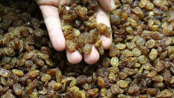 zmn kurusu ise hafzay glendiren dnyada ki nadir birka bitkiden bir tanesi.