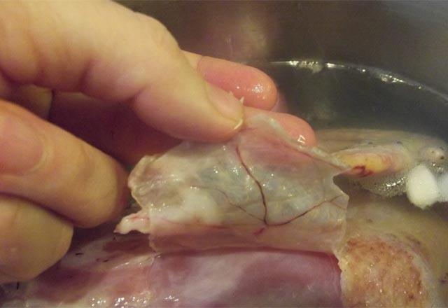 Gerek ky tavuunu anlamann en nemli yollarndan bir tanesi derisi... Gerek ky tavuunun derisi ok ok ince oluyor. Ayrca damar yaps bile o kadar net oluyor ki deriden bile damarlar gzkebiliyor.