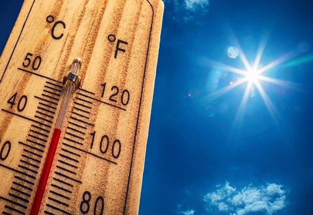  hastalklar uzman Doktor Emrah Tun yazn alnmas gereken vitaminleri, hangi besinler, tketirsek bu vitaminlerin ihtiyacn karlarz sorusunun da cevabn verdi. te yazn alnmas gereken vitaminler ve bu vitaminlerin hangi besinlerden karlanaca sorusunun cevab&#8230;