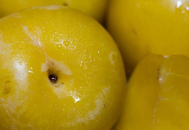 Magnezyum minerali emilimini artrarak, kemik salnn korunmasnda yardmc olur.