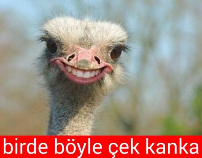 14- Profil fotorafna bir t&uuml;rl&uuml; karar veremeyenler<br /> &nbsp;  Sonuta ilk izlenim daima nemli.     <p>nsanlar seni o kareyle hatrlayacak.