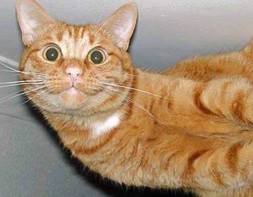 17- Sosyal medyada insanlarn fotoraflarna saatlerce bakanlar