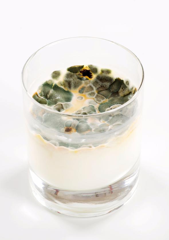 St ve st rnleri: Koku<br>  Yourt, st ve peynir gibi rnlerin muhafaza koullar da tazeliini korumalar iin nemlidir. Dolapta saklanmas gereken st ve st rnlerinin bozulmas halinde kt bir koku yaymas ve yeilimsi renkler iermesi bayatladnn gstergesidir.