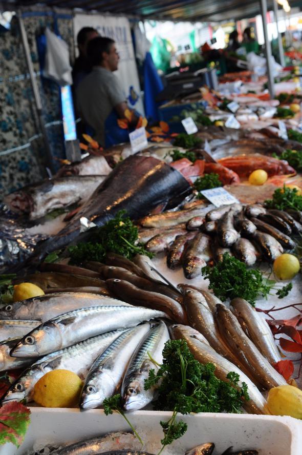 Balk: Parlak olmaldr<br>  Balklar ok abuk bozulan yiyeceklerden. Bu nedenle almadan nce mutlaka kontrol etmelisiniz. Yzeyinin olduka gergin ve parlak olmas bayat olmadnn en iyi gstergesidir. Bununla beraber karnna bastrlarak da kontrol edilebilir. Bastrldktan sonra karnn eski formuna dnmemesi halinde baln alnmamas gerekir.  bayat yiyecekleri anlama , yiyeceklerin tazeliini anlama , yiyeceklerin tazeliini anlama yollar