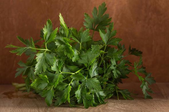 Yeillikler: Yapraklar sar olmamaldr<br>  Maydanoz ve dereotu gibi yeillikler diri bir grnme sahip olmaldr. Yapraklarnn sararmas ve solmas halinde bayatlamaya baladklarn anlayabilirsiniz. stelik bu tr yeilliklerin besin deerleri de olduka dmtr. Dolaysyla tketmek salkl bir tercih deildir.