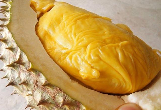 B vitamini kompleks gruplar ( B5 vitamini, B6 vitamini, B1 vitamini) bakmndan zengin ierie sahiptir.