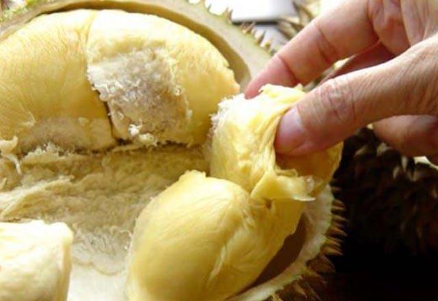 erdii Bakr, kan hcre retimi iin vcuda gereklidir.