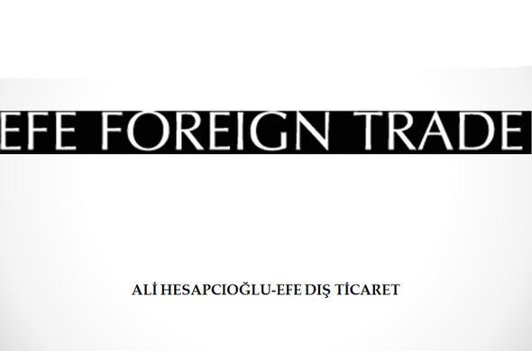 12-) Ali Hesapcolu-Efe D Ticaret<p>    2012-2015 Byme oran: Yzde 733.5<p>    2015 Gelir Aral: 5-20 Milyon TL  <p>  2015 Yl alan Says: 7    ehir: Aydn