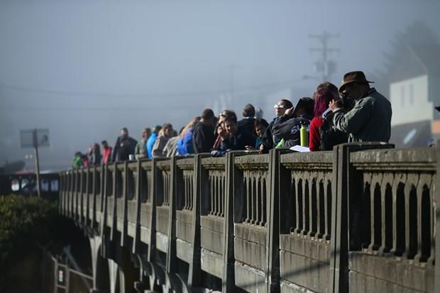 Gne tutulmas, gezegenimizin uydusu Ay'n yrnge hareketi srasnda Dnya ile Gne arasna girmesi sonucu Ay'n Gne'i ksmen veya tamamen glgelemesi olayna verilen addr.