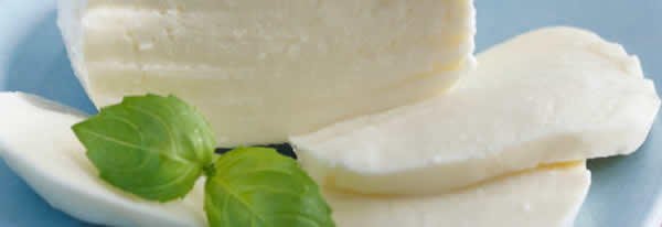 St rnlerine kar hassasiyeti olan insanlarn rahatlkla tketebilecei bir st rndr. (Laktoz orannn dkl ile)