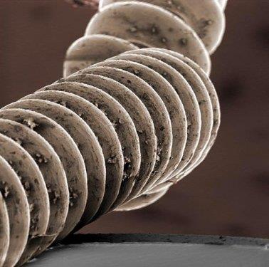 80 defa bytlm Gitar teli