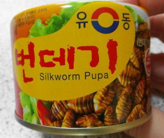 pek bcei Konservesi: Kore'de popler bir sokak yemei olan ipek bcei artk konserve eklinde de satlyor.