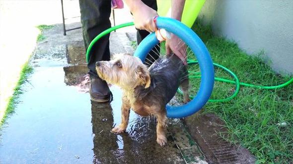 te, sizin de yapabileceiniz pratik temizleme hortumunun yapm aamalar...