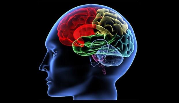 Yaam tarzmz, alkanlklarmz, tkettiklerimiz ve genlerimiz bizlerin sadece d grntmz deil, zihinsel salmz da etkileyen faktrler arasnda yer alyor.<p>    Vcdunuz ka yanda olursa olsun, bu faktrlere gre belirlenen 'Beyin ya', alzheimer gibi hastalklara yakalanma riskinizi de etkiliyor. ngiliz Salk Bakanl'nn hazrlad 25 soruyu yantlayarak siz de 'Beyin Ya'nz renebilirsiniz. Sorular yantlayn ve testin sonunda verdiiniz her 'Evet' cevabn '1 puan' olarak hesaplayarak beyin yanz renin....