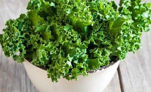 * Lsemiye ve gs kanserine ok iyi geldii bilinir.