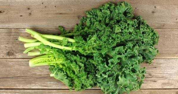 * ltihapl hastalklara kar koruyucudur.