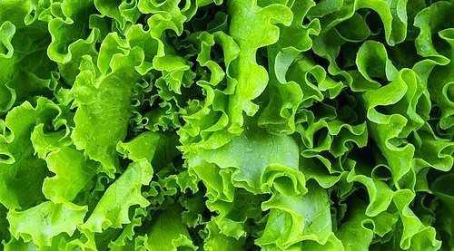 * Uykuya dalmay kolaylatrr.