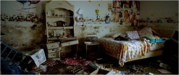 Ortaya kan i ise grnt ve modern mziin birletii, esiz bir doa ve insanlk belgeseli oluyor.