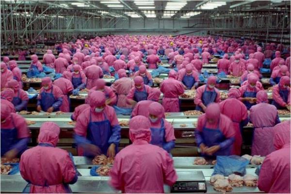 "Samsara" Sankrit kelimesinden gelir ve hayatn srekli dnen, sonsuz emberi anlamnda kullanlr.