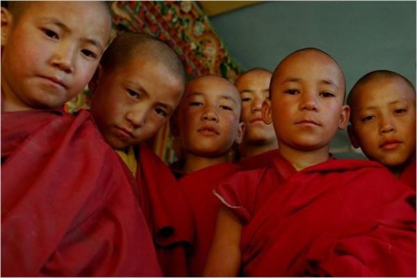 Bu kelime, ynetmenlerin hayatlarmz belirleyen srad ve gl balantlar zincirini belirtme konusunda ilham kayna olmutur.