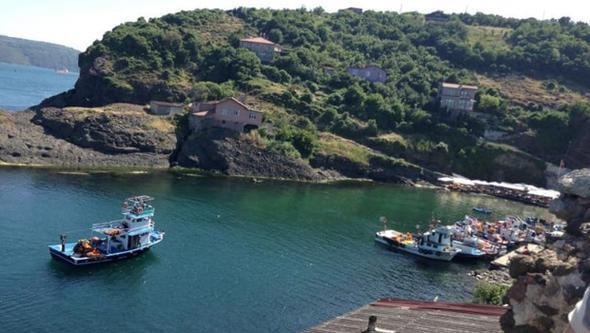 <p>Saryer</p>  <p>Garipe</p>  <p> </p>  <p>2010: 50 - 80</p>  <p> </p>  <p> 2017 (marsz tarla): 1.100 - 1.300</p>  <p> </p>  <p>Saryer</p>  <p>Demirci</p>  <p> </p>  <p>2010: 50 - 100</p>  <p> </p>  <p> 2017 (marsz tarla): -</p>