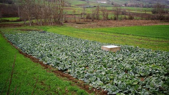 <p>Nilfer-ayl</p>  <p> </p>  <p>2010: 15 - 20</p>  <p> </p>  <p> 2017:60 - 80</p>  <p> </p>  <p>Mahmudiye</p>  <p> </p>  <p>2010: 20 - 30</p>  <p> </p>  <p> 2017:60 - 80</p>  <p> </p>  <p>znik-Slz</p>  <p> </p>  <p>2010: 15 - 20</p>  <p> </p>  <p> 2017:70 - 90</p>  <p> </p>