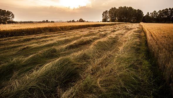 Son yllarda bu blgelerde arazi fiyatlar ykselmi durumda. Bu ykseliin nmzdeki yllarda da srmesi bekleniyor.