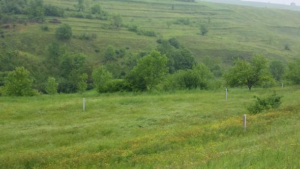 <p>Hacmehmet</p>  <p> </p>  <p>2010: 30 - 40</p>  <p> </p>  <p> 2017:160 - 200</p>  <p> </p>  <p>Safran</p>  <p> </p>  <p>2010: 30 - 35</p>  <p> </p>  <p> 2017:120 - 200</p>  <p> </p>  <p>Tevikiye</p>  <p> </p>  <p>2010: 30 - 60</p>  <p> </p>  <p> 2017:160 - 200</p>  <p> </p>