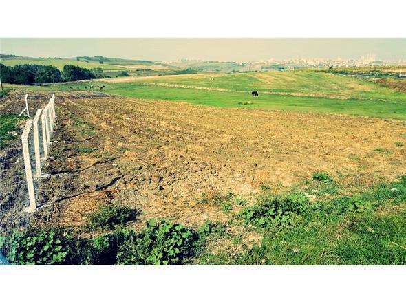 <p>Arnavutky</p>  <p>ilingir</p>  <p> </p>  <p>2010:20 - 25</p>  <p> </p>  <p> 2017 (marsz tarla): 400 - 450</p>  <p> </p>  <p>Arnavutky</p>  <p>Dursunky</p>  <p> </p>  <p>2010:10 - 15</p>  <p> </p>  <p> 2017 (marsz tarla): 300 - 350 </p>  <p> </p>  <p>Arnavutky</p>  <p>Hacmal</p>  <p> </p>  <p>2010:20 - 30</p>  <p> </p>  <p> 2017 (marsz tarla):350 - 400</p>